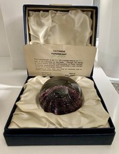 Caithness sea urchin for sale  WIGAN