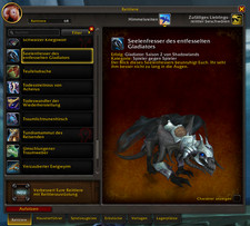 Warcraft gladiator account gebraucht kaufen  Weihmichl