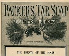 1907 pure pines for sale  Shipping to Ireland
