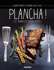 Plancha barbecue potes d'occasion  France
