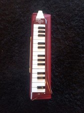 Musikinstrument melodica piano gebraucht kaufen  Grävenwiesbach