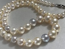 Akoya halskette perlenkette gebraucht kaufen Akoya halskette perlenkette gebraucht kaufen  Cottbus