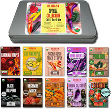 Chilli seed kit for sale  UXBRIDGE