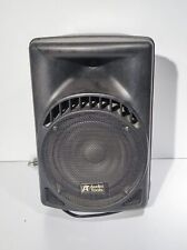 Cassa amplificata audio usato  Casapesenna