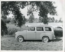 Standard companion original for sale  LEDBURY