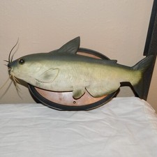 Gemmy cool cat for sale  Rock Springs