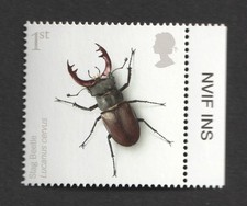 2008 stag beetle. for sale 2008 stag beetle. for sale  LONDON