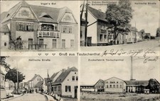 Teutschenthal saalekreis vogel gebraucht kaufen  Berlin