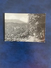 Cartolina campigna viale usato  Fano