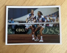 Panini tennis atp gebraucht kaufen  Markt Indersdorf