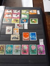 Lot nice chinese usato  Montereale Valcellina