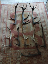 Lot bois mues d'occasion  France