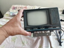 Radio pollici portatile usato  Italia