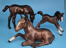 Beswick horses foal for sale  WIMBORNE