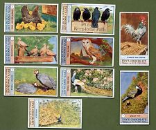 Fry Confectionery Fowls Pigeons & Dogs 1908 Nove Cartas Excelente comprar usado  Enviando para Brazil