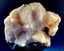 Top rosa stilbit gebraucht kaufen  Limburg a. d. Lahn