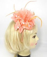 Peach large feather for sale  DERBY