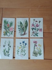 Kölln flocken serie gebraucht kaufen  Neunkirchen-Seelscheid