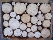 Brennholz kaminholz feuerholz gebraucht kaufen  Gräfenhainichen