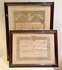 Laurea medicina chirurgia usato  Firenze