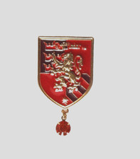 Broche métal strass d'occasion  Saint-Brieuc