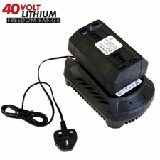 Lithium ion 40v for sale  DARLINGTON