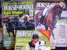 Job lot horse for sale  BRIDGWATER