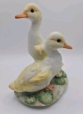 Spring baby ducks for sale  Saint Paul