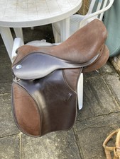 Small thorowgood pony for sale  EMSWORTH