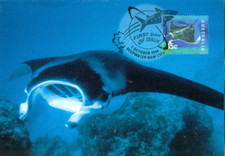 Australia 1998 maxi d'occasion  Saint-Jean-de-Boiseau