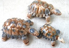 Wade tortoise set for sale  SHEFFIELD
