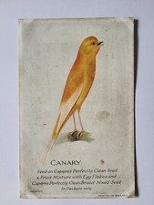 Capern cage bird for sale  ROCHFORD