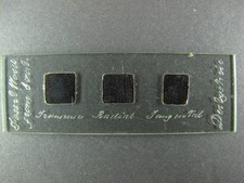 Antique microscope slide for sale  BRISTOL