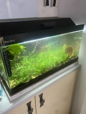 Clearseal 64l aquarium for sale  KETTERING
