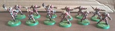 Blood bowl human for sale  CHESTERFIELD
