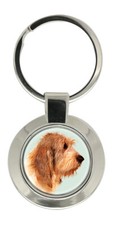 Grand basset griffon usato  Spedire a Italy