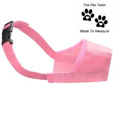 Maltais terrier chien d'occasion  Expédié en France
