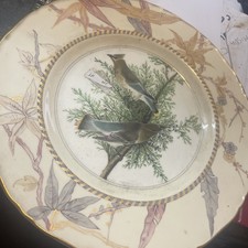 Birds america john for sale  LIVERPOOL