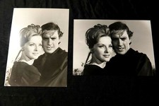 Alain delon tulipe d'occasion  France