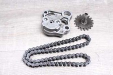 ölpumpenkette honda 250 gebraucht kaufen  Trebbin
