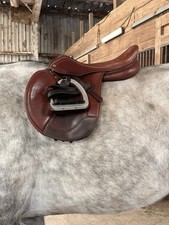 16.5 pessoa xch for sale  Baton Rouge
