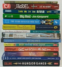 Lot young adult for sale  Alvin