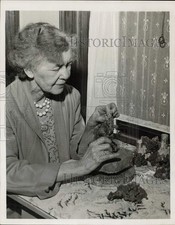 1946 press photo d'occasion  Expédié en Belgium