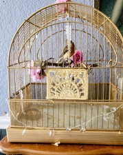 Antique crown canary for sale  Kyle