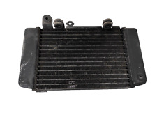 Radiatore acqua sinistro usato  Scafati