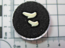 Fossil comparative specimen for sale  WAKEFIELD