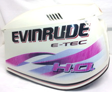 Evinrude etec engine for sale  Dunnellon