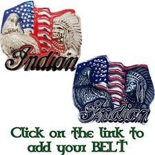 Indian chief motorcycle for sale  NEWTON ABBOT
