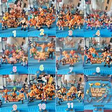 Wwf hasbro wrestling usato  Forte dei Marmi