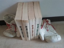 Reggilibri guantoni boxe usato  Pino Torinese